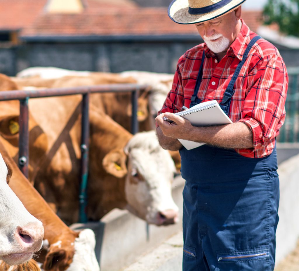 Farmer with cattle and a notebook